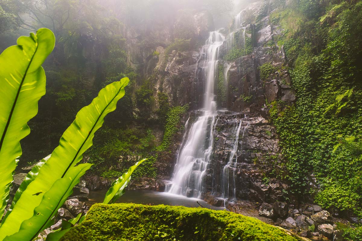 Revitalising Naturescape - アマリ バンビエン